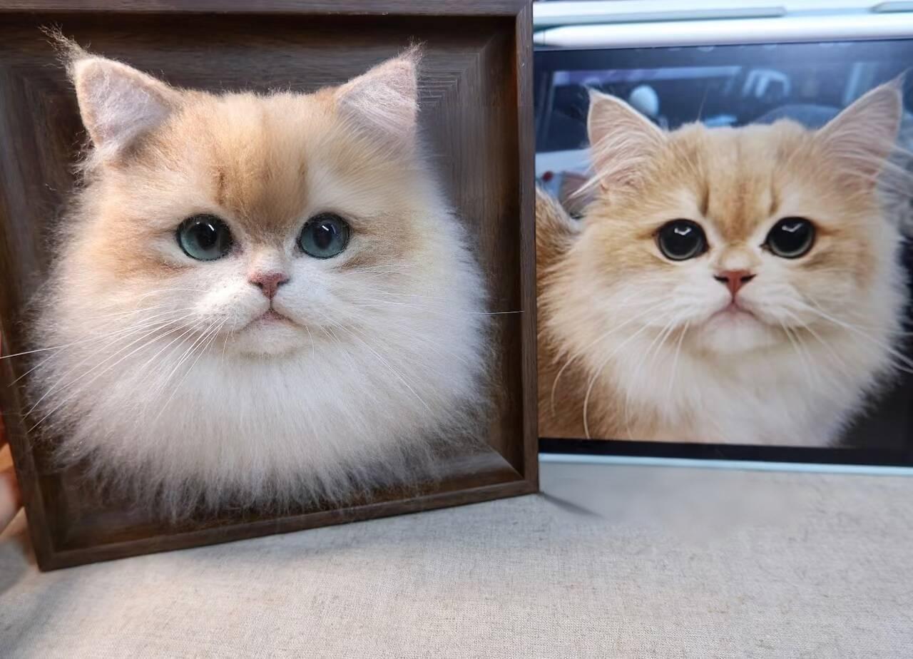 Framed Pet Portrait-Cat