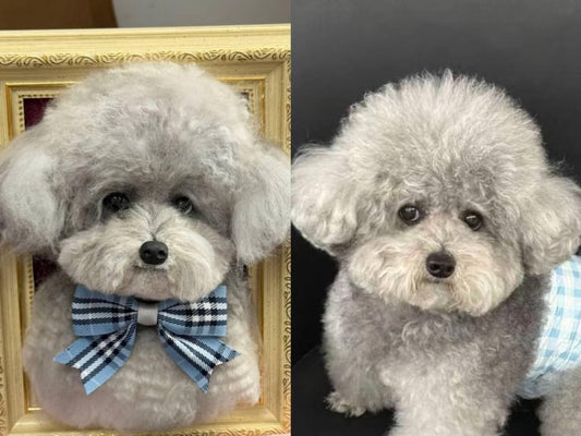 Framed Pet Portrait-Dog